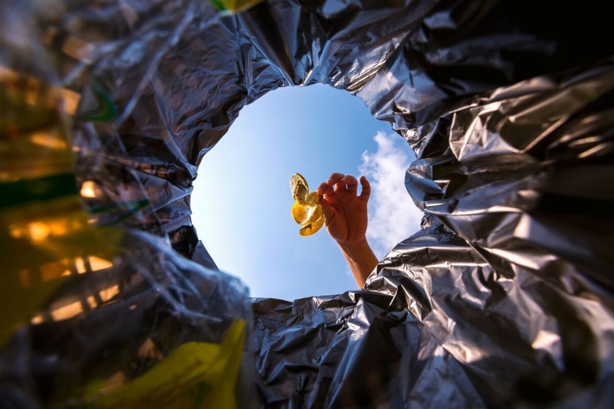 © lufeethebear / Adobe Stock
