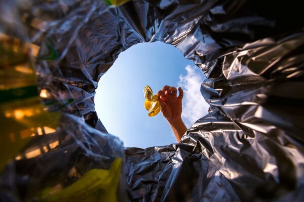 © lufeethebear / Adobe Stock