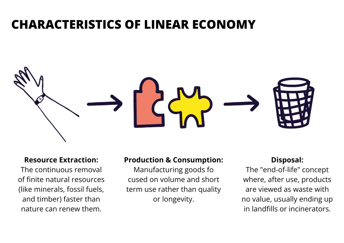 CHARACTERISTICS OF LINEAR ECONOMY